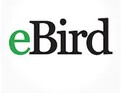 Ebird from Cornell University - Free