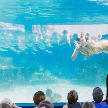 Underwater Mermaid Show