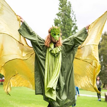 Dragon Themed Party