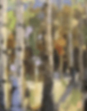 AUSTRALIAN LANDSCAPE - PAINTING