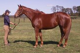 Lot 316 - Princess Siri-Click here