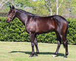 Lot 70 - PierroOne More Tequila-Click here