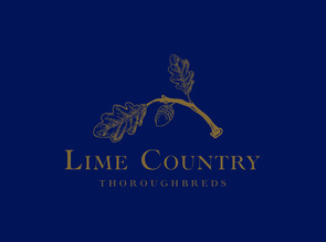 Lot 580 - Kristithegreat(Extreme Choice - Dakota Sue) Racehorse Filly/Mare-Click here