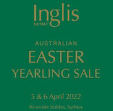 Lot 282 - Trapeze Artistex MezullaFilly-Click here