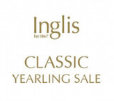 Lot 546 - Dundeelex Eyes Of LoveFilly-Click here