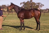 Lot 343 - No Greater Love-Click here