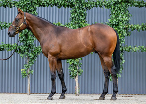 Lot 414 - Microphone x MayameenColt-Click here