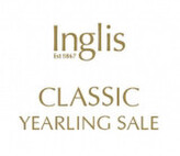 Lot 70 - Flying Artieex Meteora MissColt-Click here