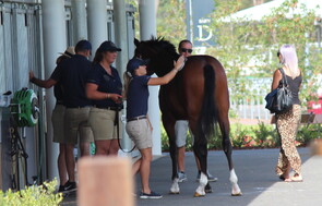 Inglis Classic Sale - 9 - 14 February 2019