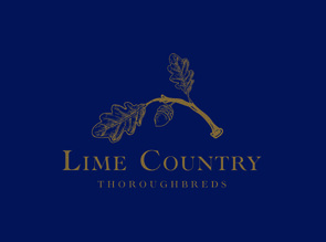 Lot 655 - Sunchaser(Reliable Man - Keepa Cruisin)Racehorse Filly/Mare-Click here