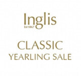 Lot 435 - Deep Fieldex BroadbandColt-Click here