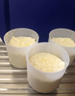 Triple cream brie