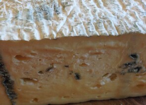 Queensland Blue