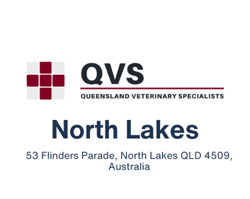 Queensland Veterinary Specialists North Lakes Logo