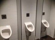 Link to Urinal Flush Valves range