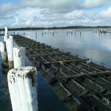 AP3 Aquapurse & Accessories