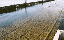 XL6 Aquatray & Accessories