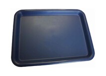 Food Service Tray (Small)