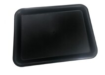 Food Service Tray (Large)