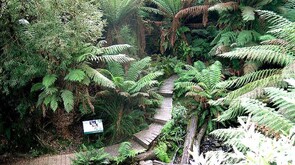 SANDPIT FOREST RESERVE