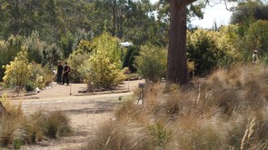 TASMANIAN BUSHLAND GARDEN