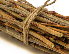 Save with a "managed service" bundle