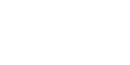 Performance Perspective International