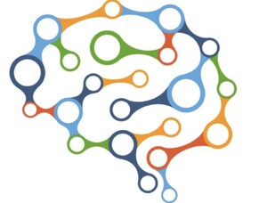 Myths and Mistruths About Concussion