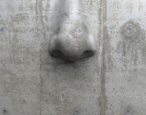 The breath: our superpower