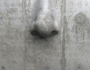 The breath: our superpower